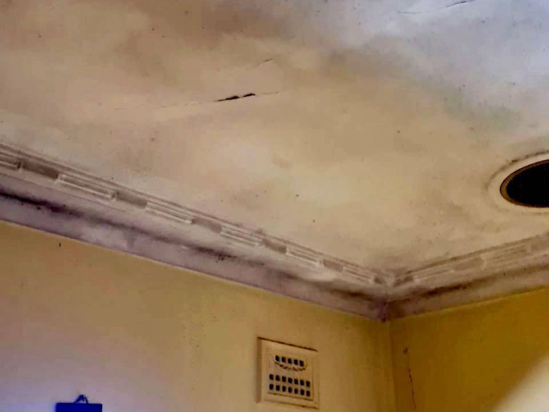 Zest_Property_Services_Maintenance - Termite Control - Hills District of Sydney