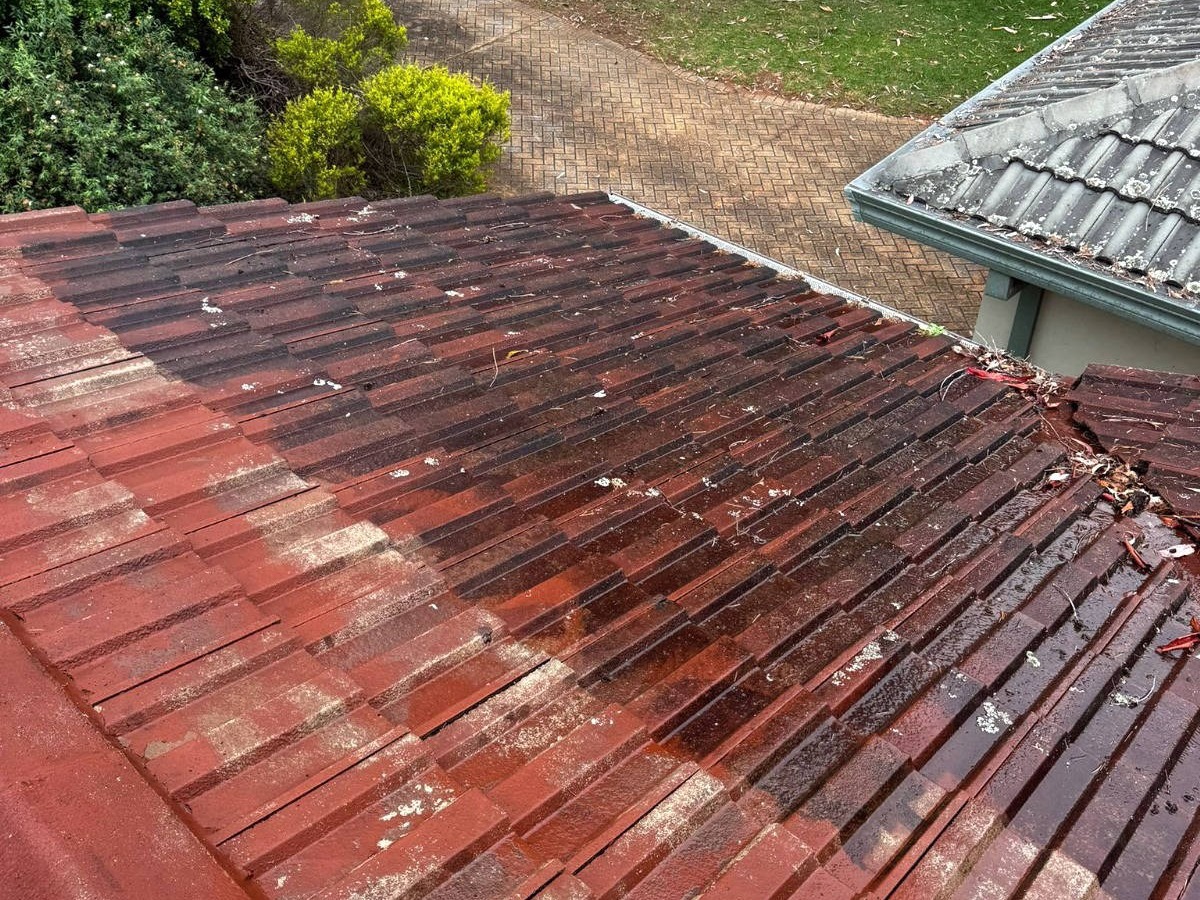Zest_Property_Services_Maintenance - Termite Control - Hills District of Sydney